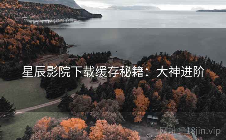 星辰影院下载缓存秘籍：大神进阶