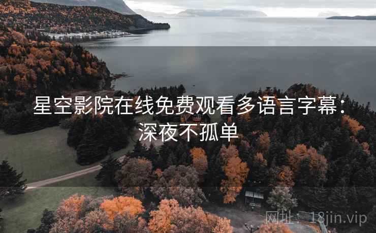 星空影院在线免费观看多语言字幕：深夜不孤单