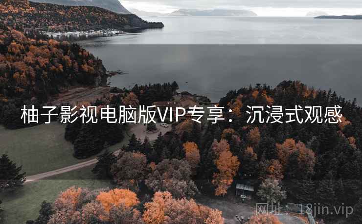 柚子影视电脑版VIP专享：沉浸式观感