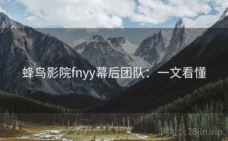 蜂鸟影院fnyy幕后团队：一文看懂